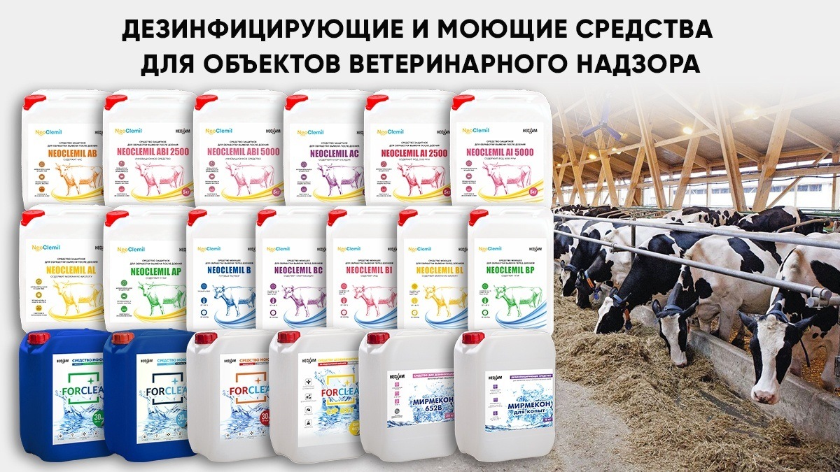 Содержание крупного и мелкого рогатого скота